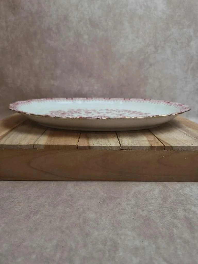 Gran plato ovalado Seltmann Weiden Bavaria Theresia rojo - Porcelana alemana vintage – photo 7
